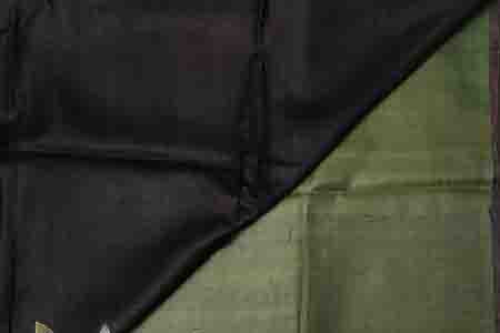 PURE TUSSAR SAREE- PISTA GREEN