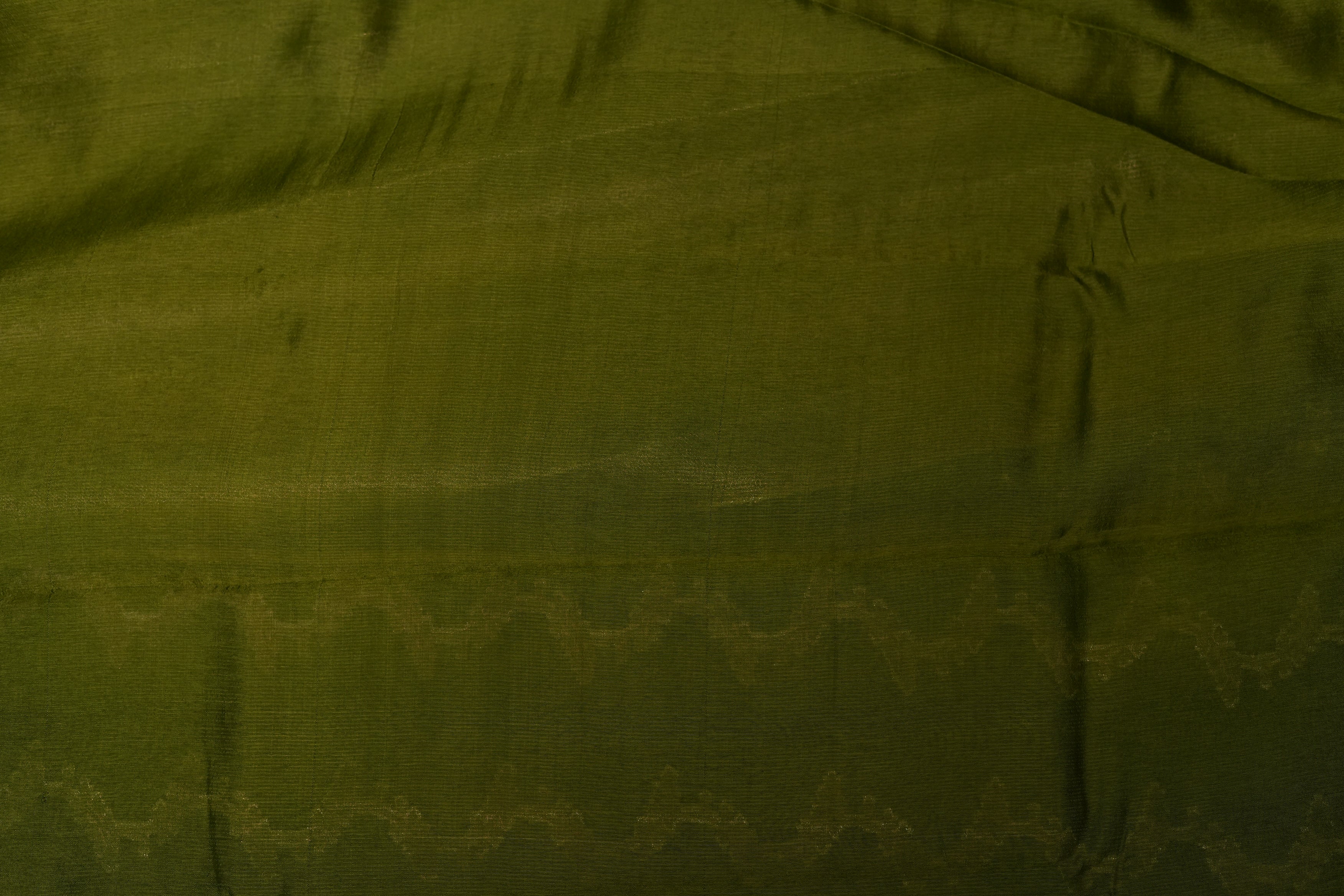 RAW MANGO SAREE- LIGHT GREEN