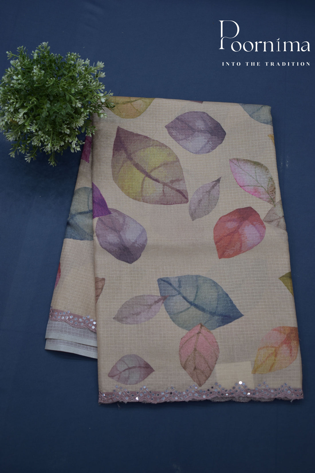 CHIKOO-DESIGNER WORK SAREE