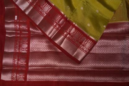 RAW MANGO SAREE- PARROT GREEN