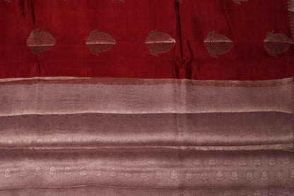 RAW MANGO SAREE-TOMATO RED