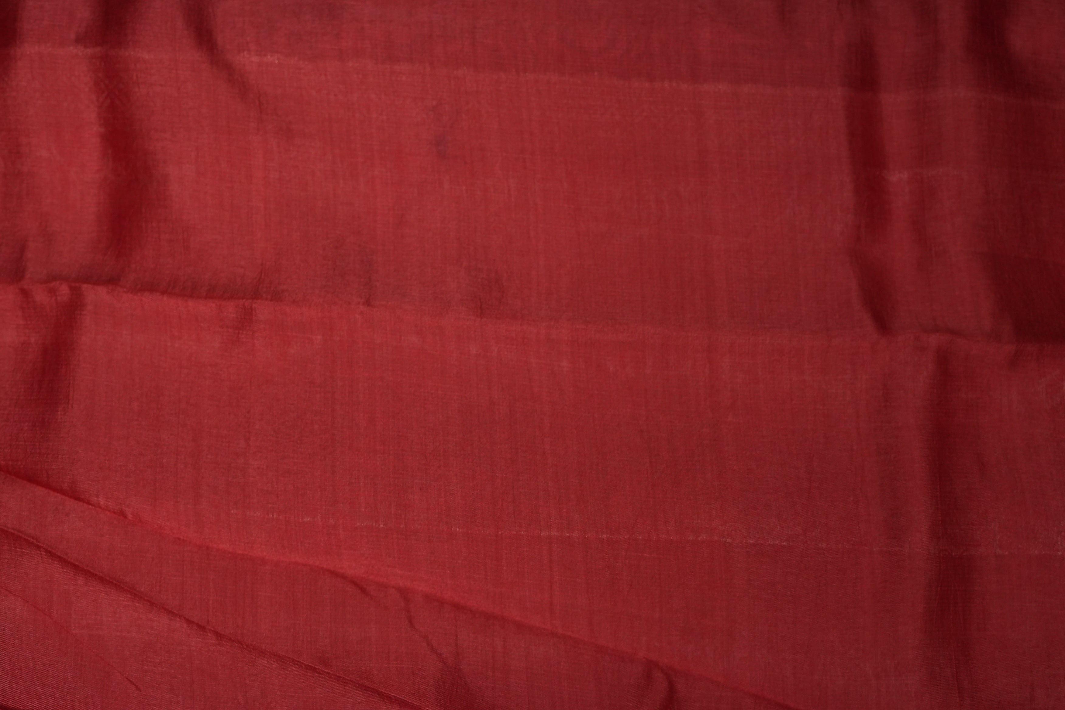 RAW MANGO SAREE- BLUE